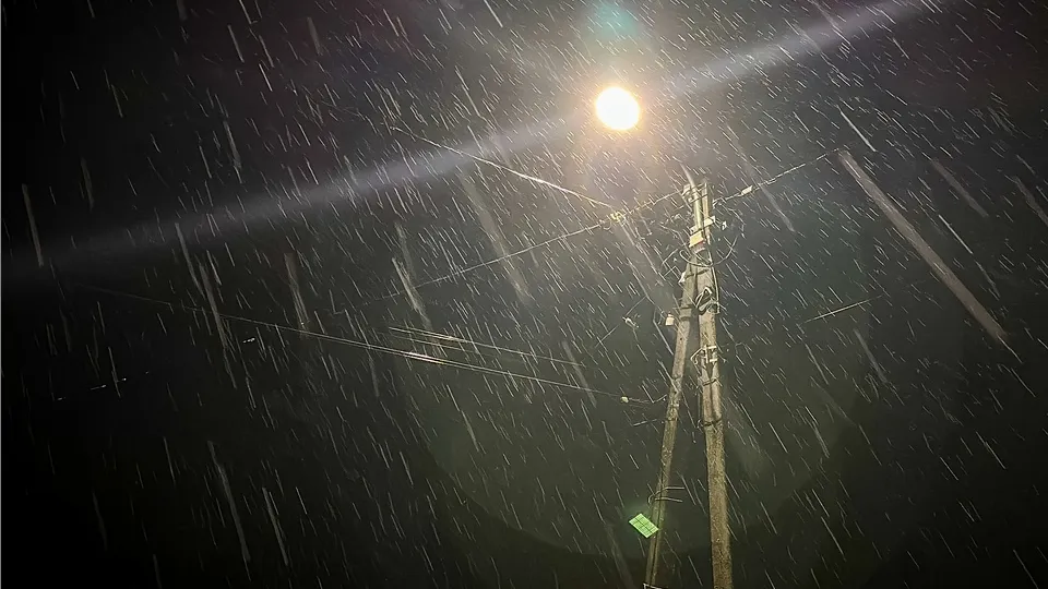 Фото: МедиаБанк Подмосковья/Данила Кирьянов