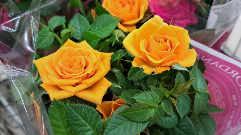 Фото: REGIONS/Татьяна Замятина