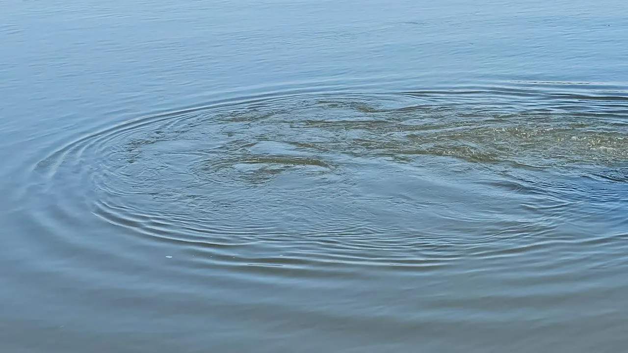 REGIONS/Александр Дрожжин