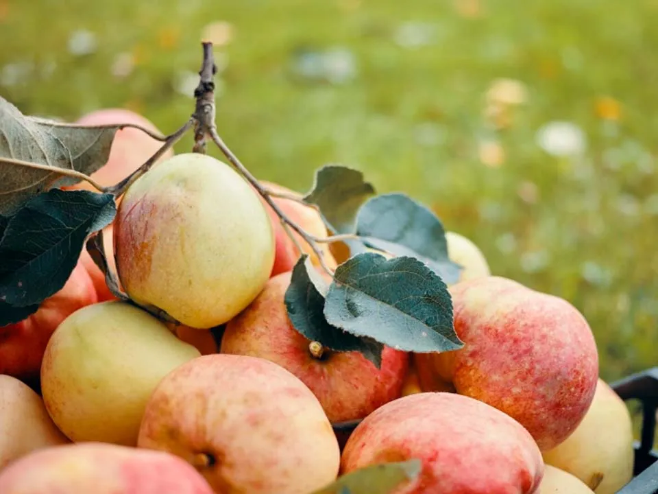 Фото: freepik.com