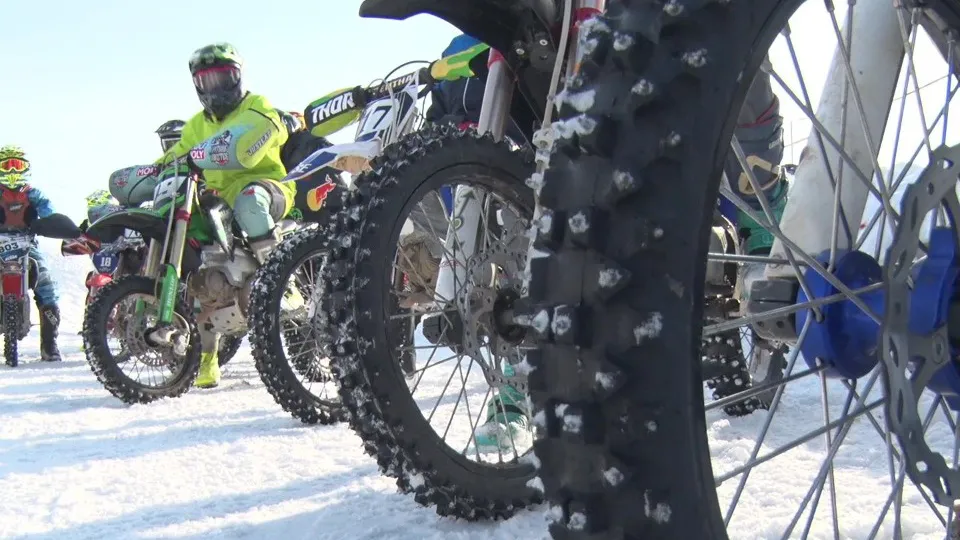 Фото: МедиаБанк Подмосковья/Ксения Казакова