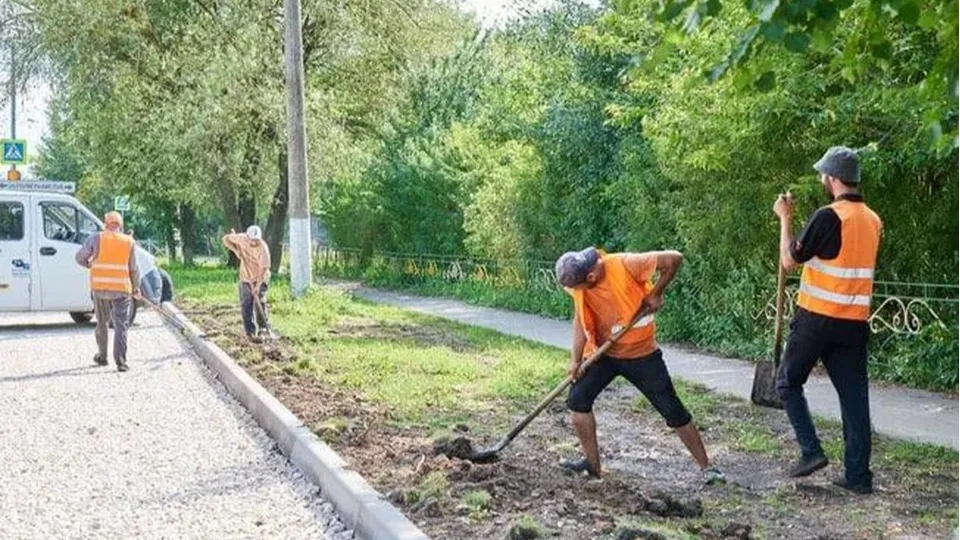 Фото: пресс-служба администрации м.о. Чехов