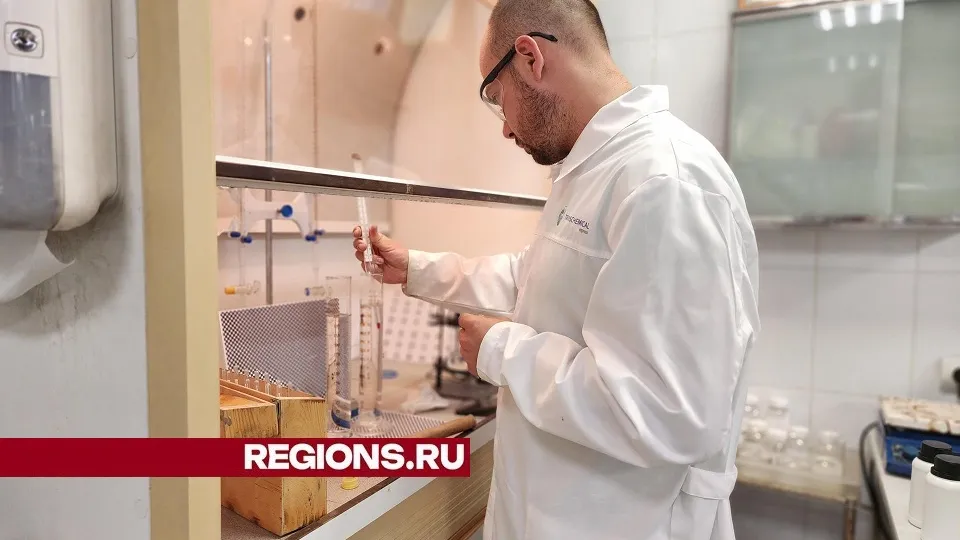 Фото: Светлана Плотникова