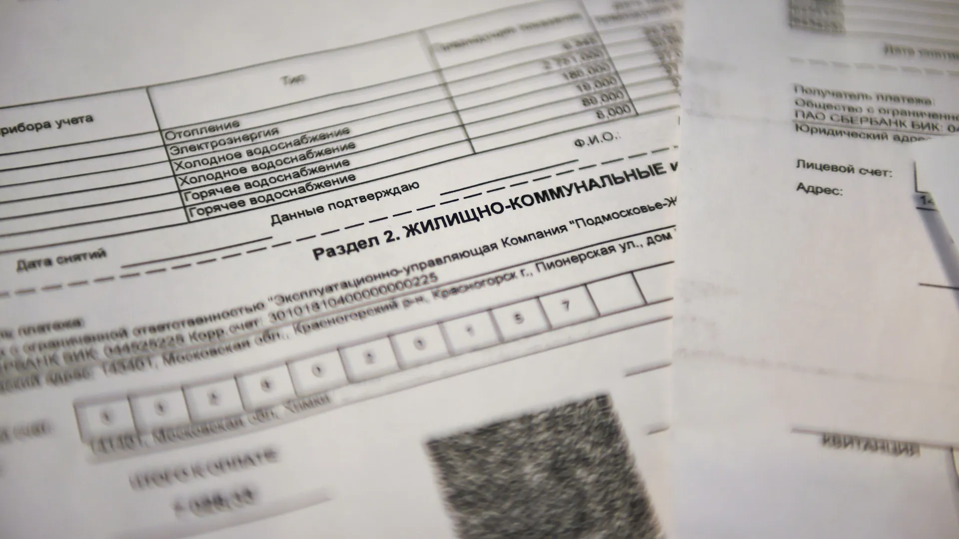 Фото: медиасток.рф