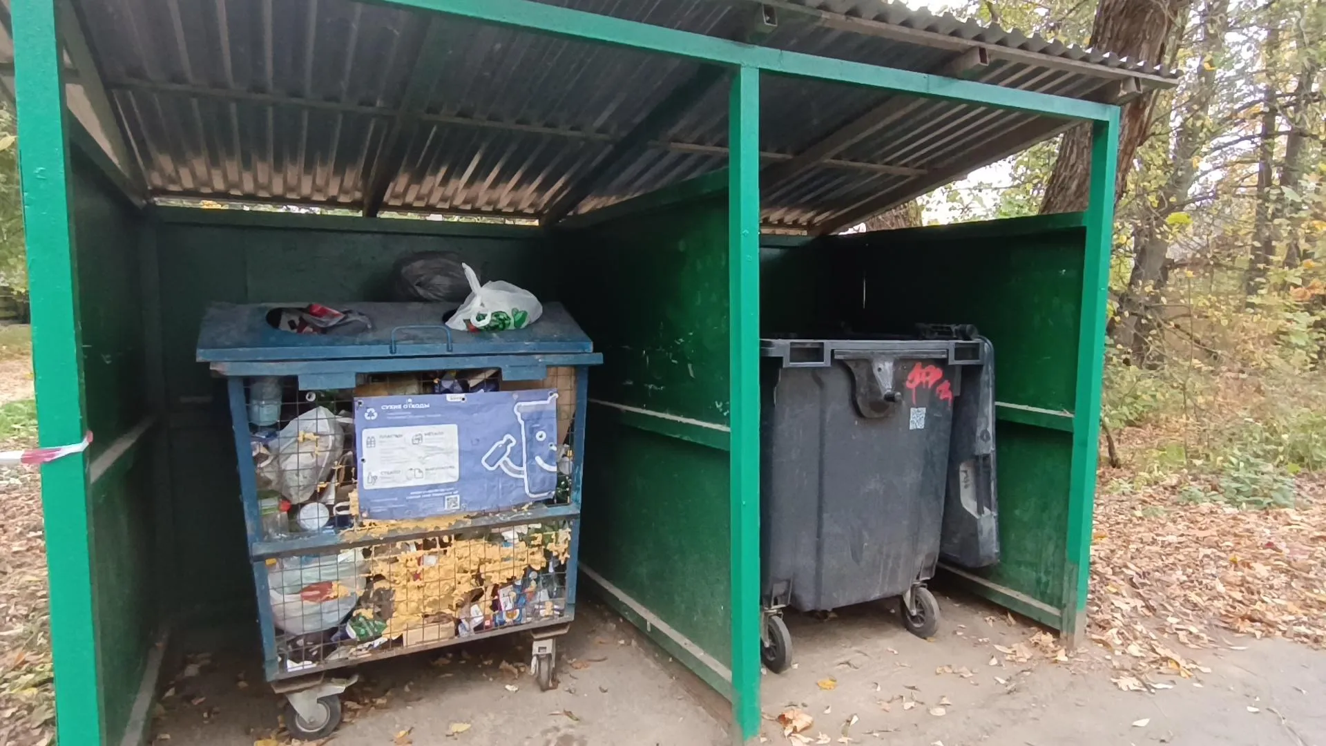 Екатерина Дятловская