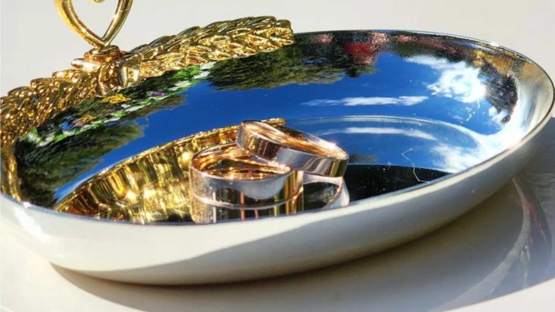 Фото:Валерия Тингаева/Медиабанк Подмосковья