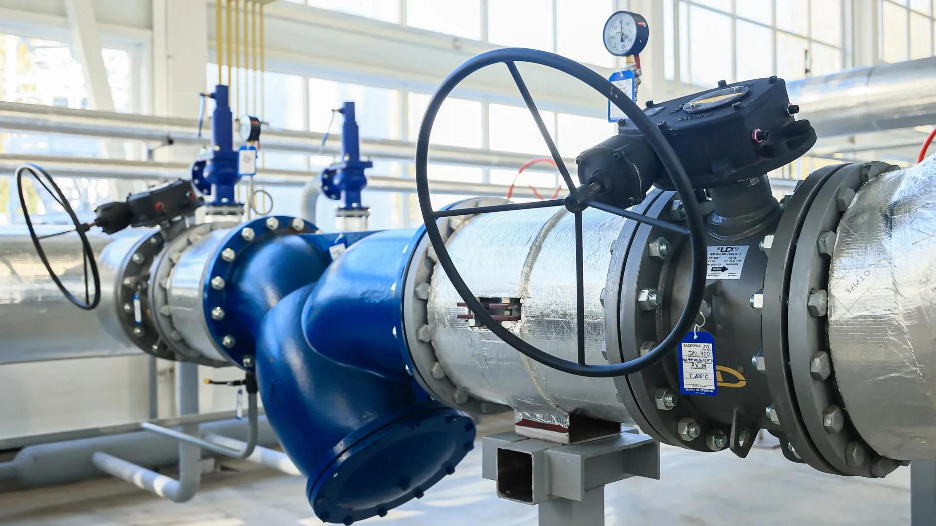 Фото: Константин Семенец