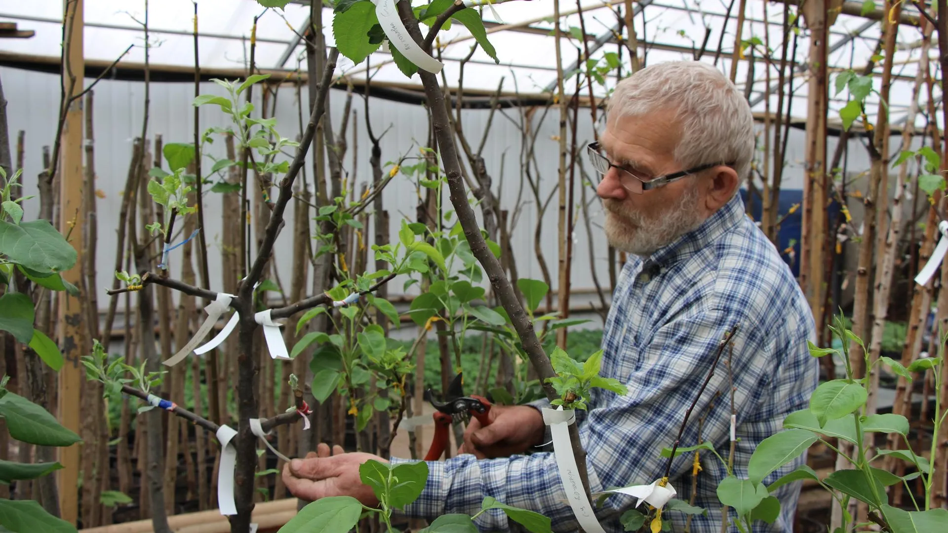 медиасток.рф