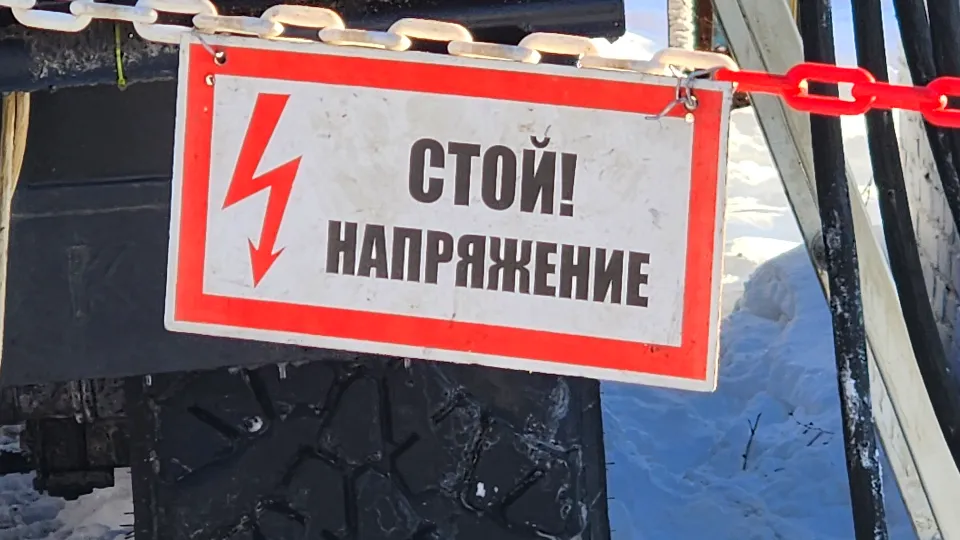 Фото: МедиаБанк Подмосковья/Алена Притула