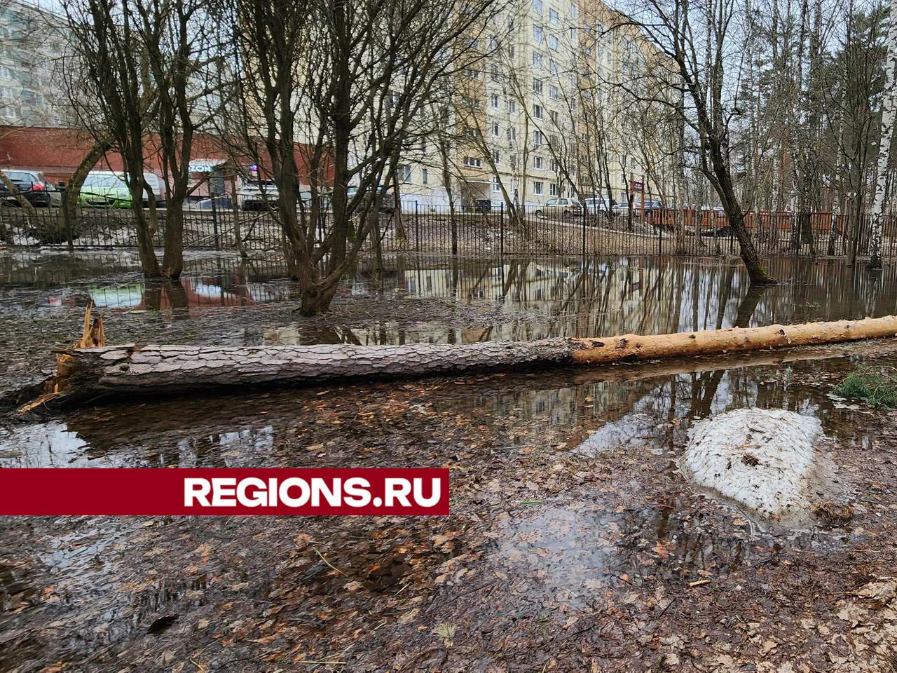 Фото: Артем Мишуков