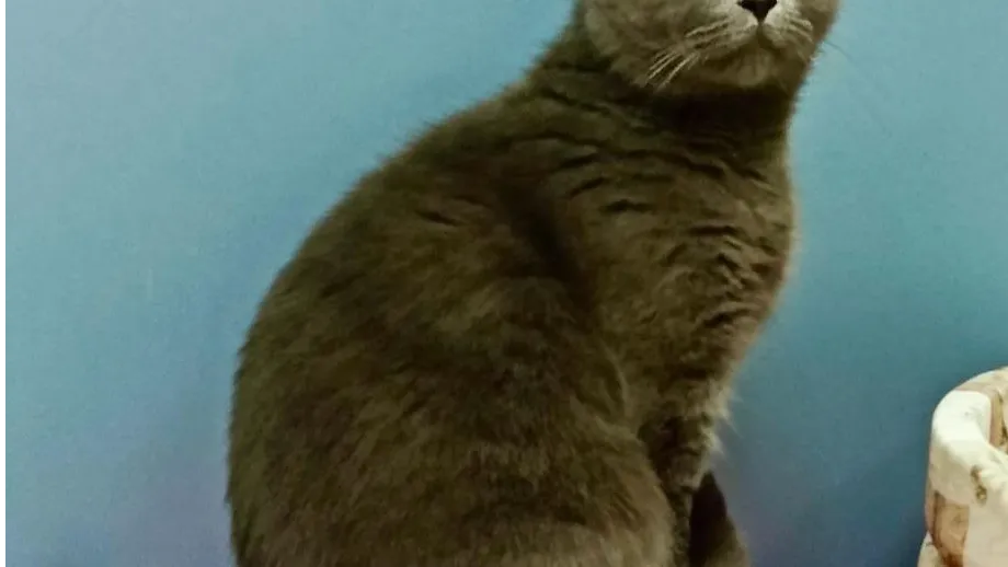 Источник: ГК «Садовое кольцо»