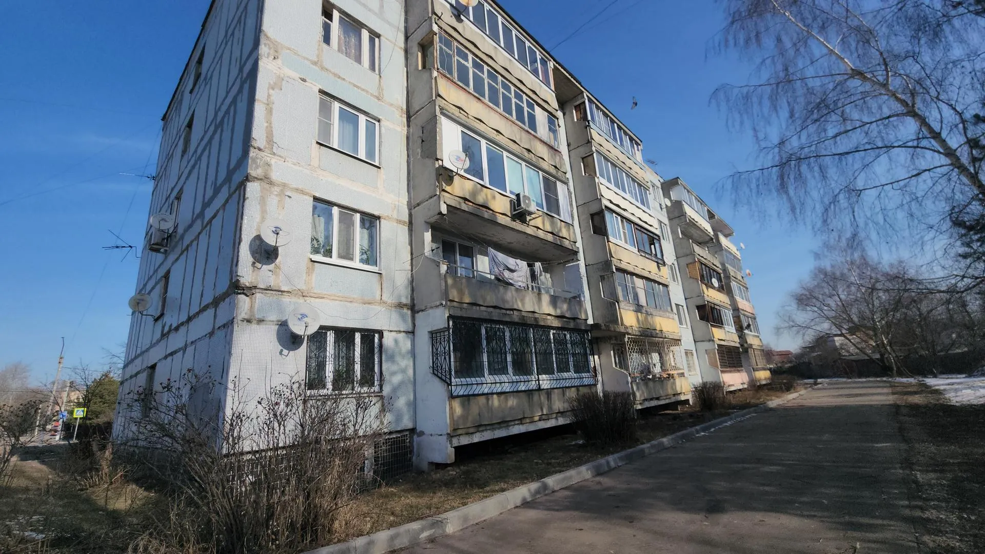 Алена Притула