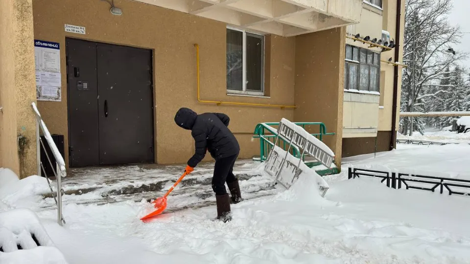 Фото: МедиаБанк Подмосковья/Ксения Афонина