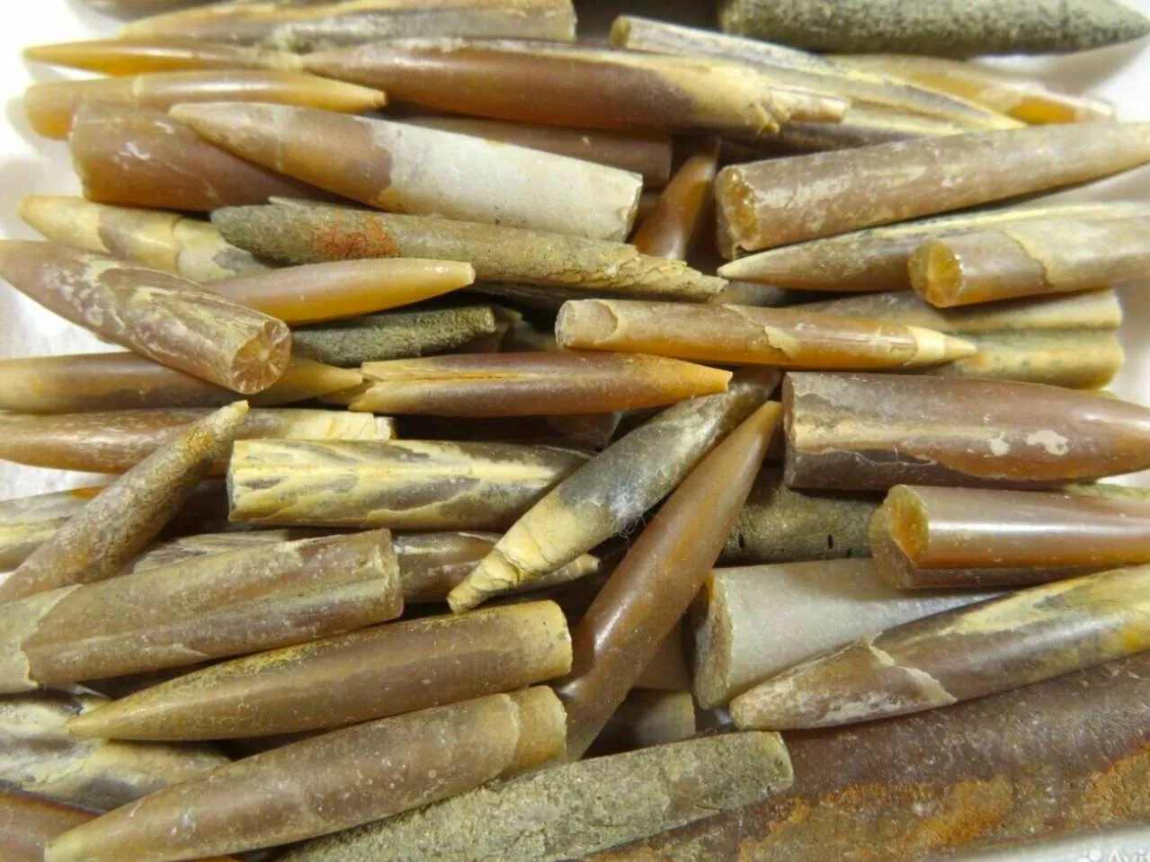 Фото: городская доска объявлений&nbsp;