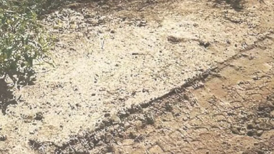 Фото: Минэкологии МО