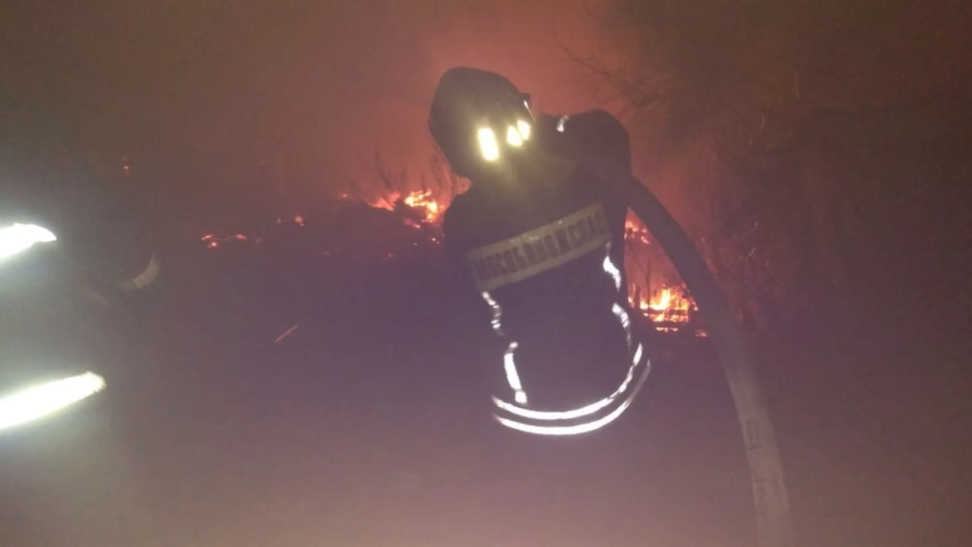 Фото: МЧС России