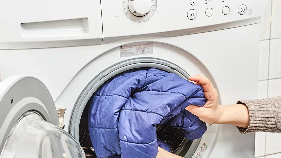 Фото: istockphoto.com/golibtolibov