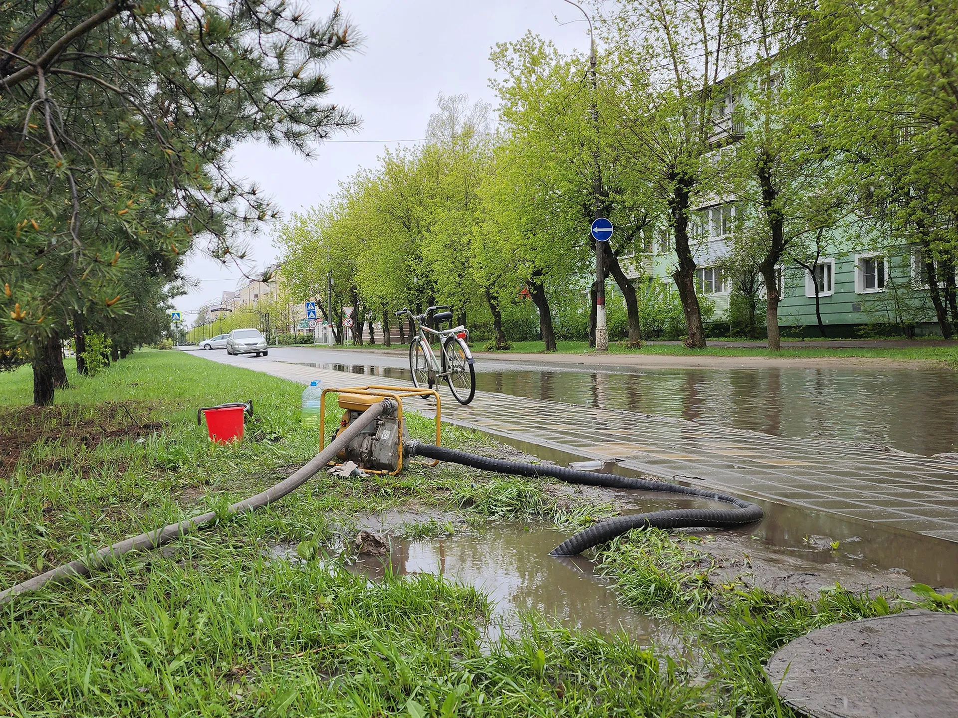 Фото: МедиаБанк Подмосковья/Валерия Тингаева
