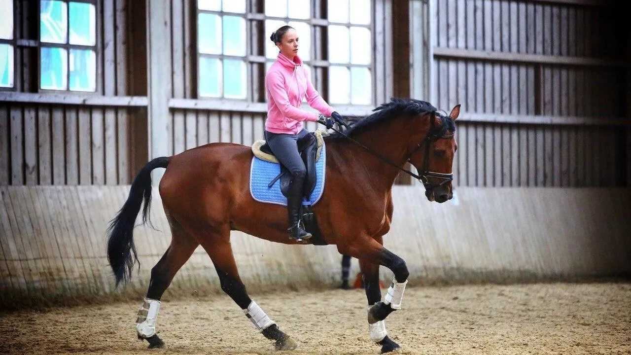 Фото: Пресс-служба Минсельхозпрода МО