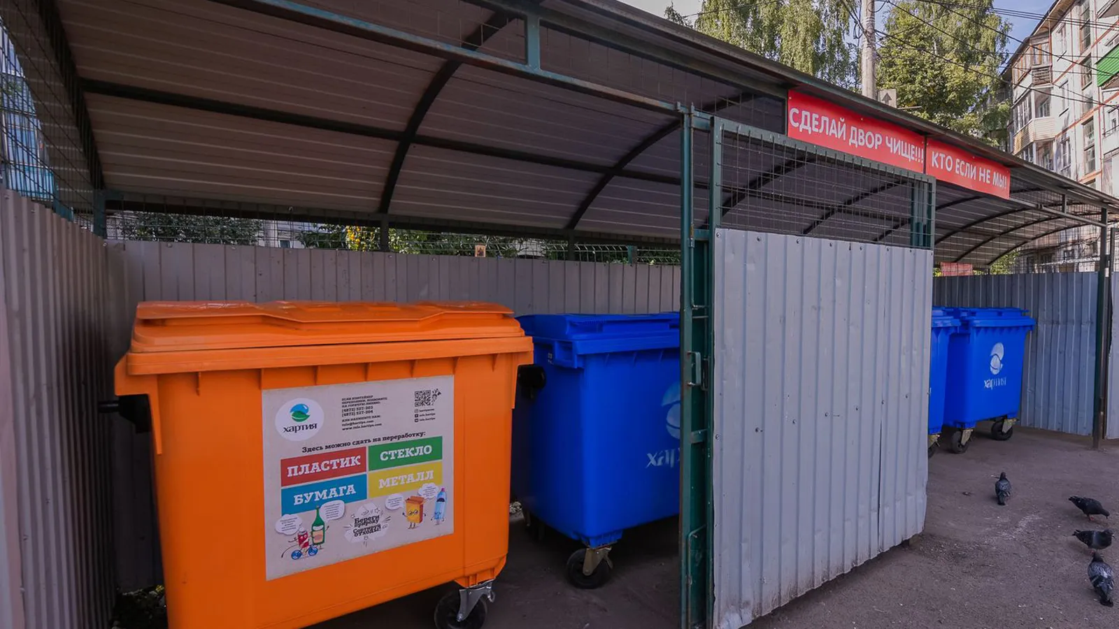 Фото: медиасток.рф