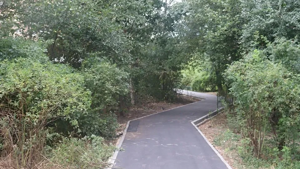 Фото: пресс-служба Главного управления регионального государственного жилищного надзора и содержания территорий Московской области