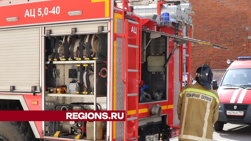 Фото: REGIONS/Василий Тремасов