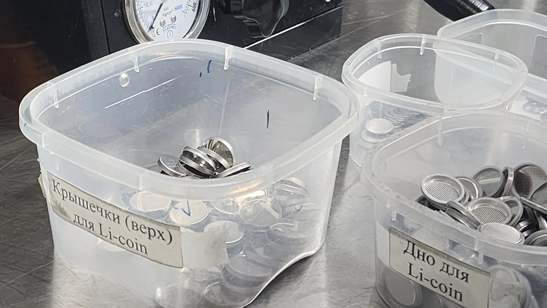 Фото: REGIONS/Иван Петрушин