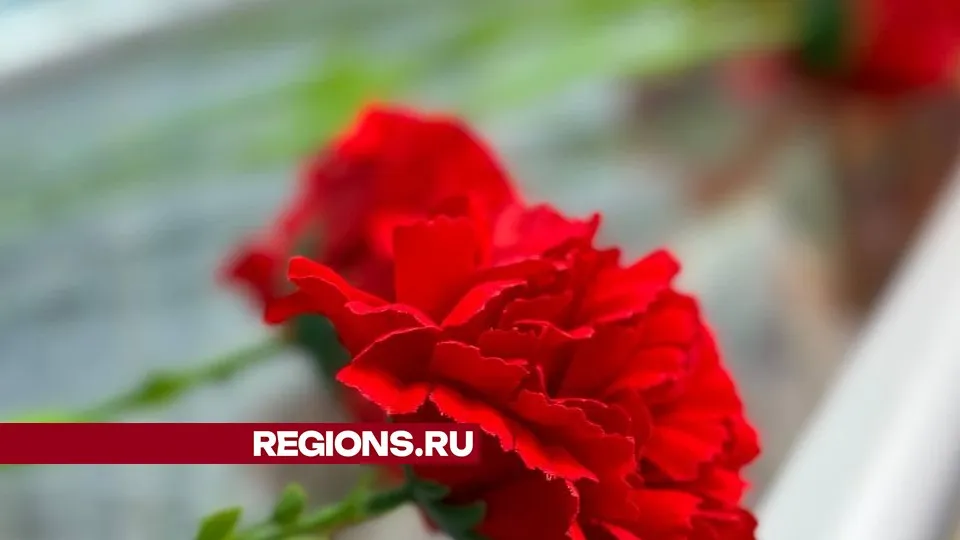 Фото: Светлана Плотникова