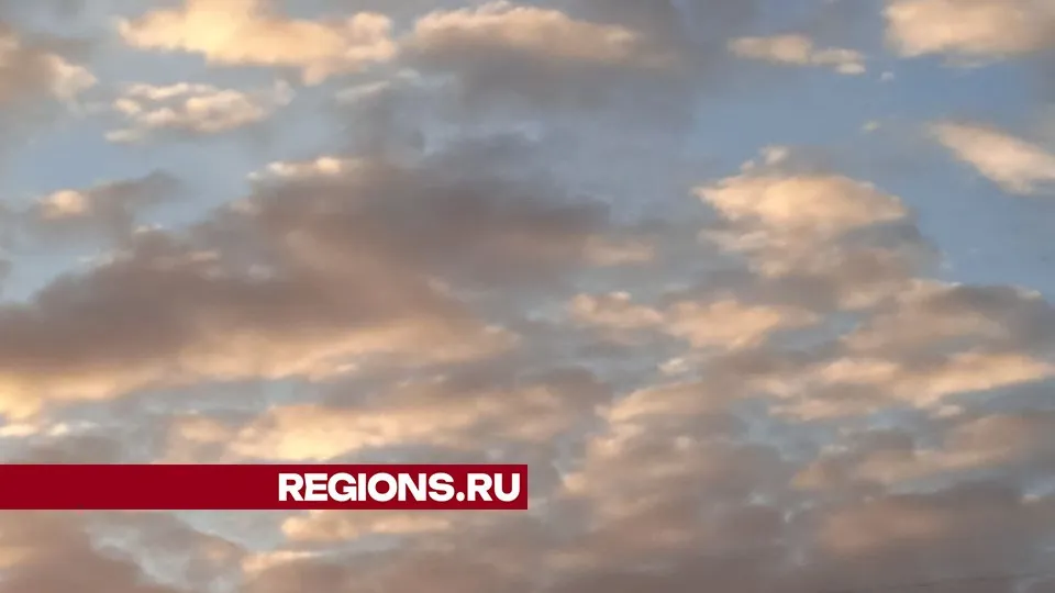 Фото: REGIONS/Юлия Куделькина