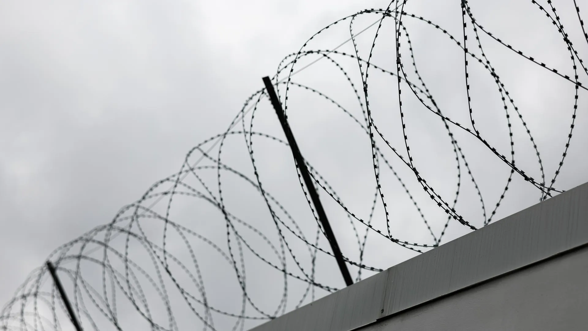 Sergey Elagin/Business Online