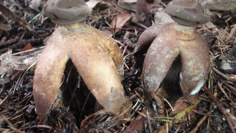 фото: Ю. Мухина