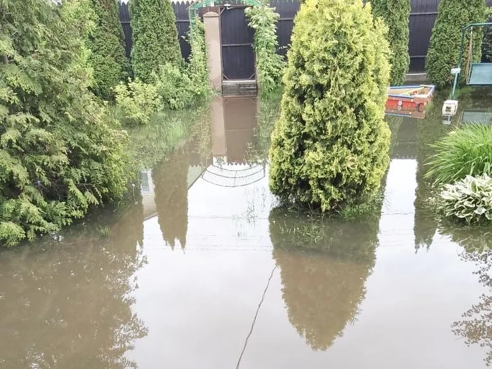 Фото: Ирина Мальцева