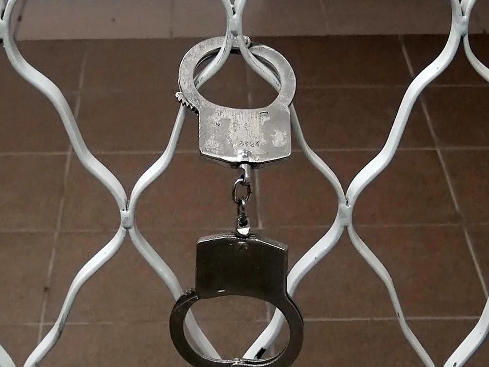 Фото: пресс-служба УМВД России
по Дмитровскому городскому округу