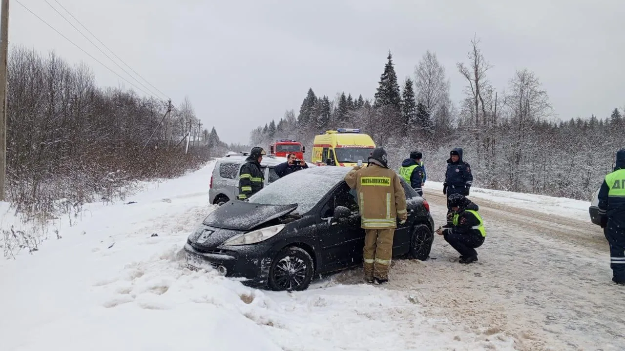 Фото: ГКУ МО «Мособлпожспас»