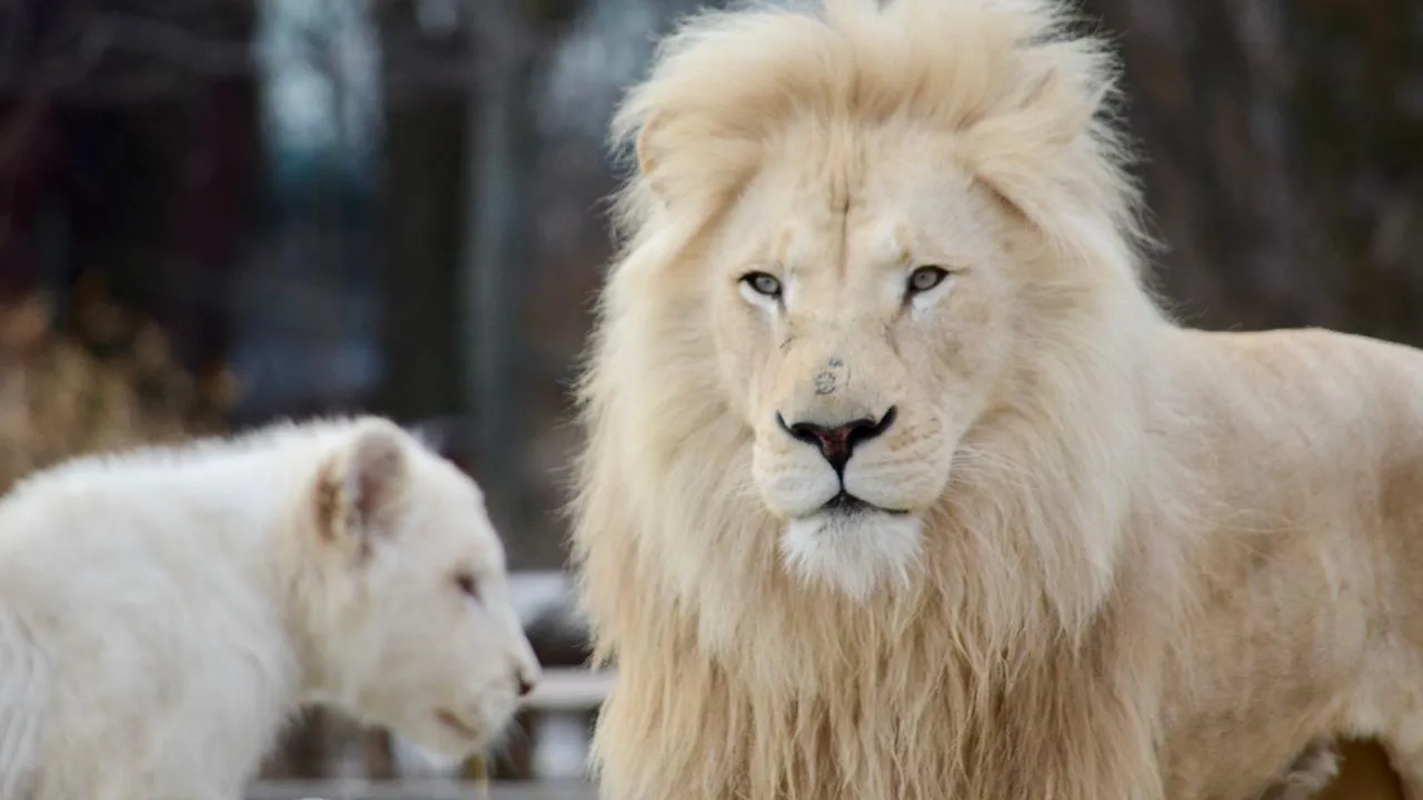 istockphoto.com/Drew Morrison