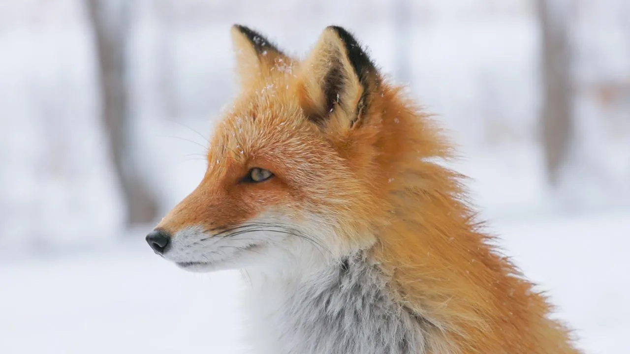 istockphoto.com/PonyWang