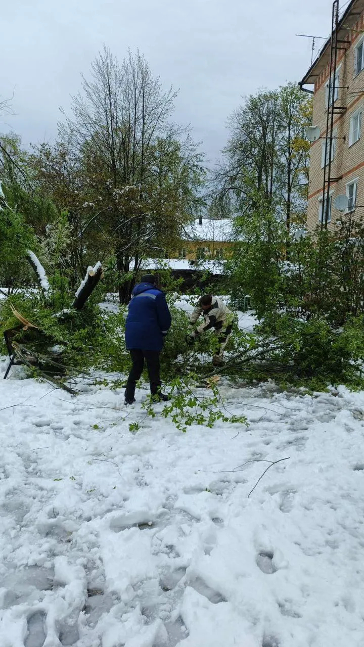 Глава Талдомского городского округа Юрий Крупенин