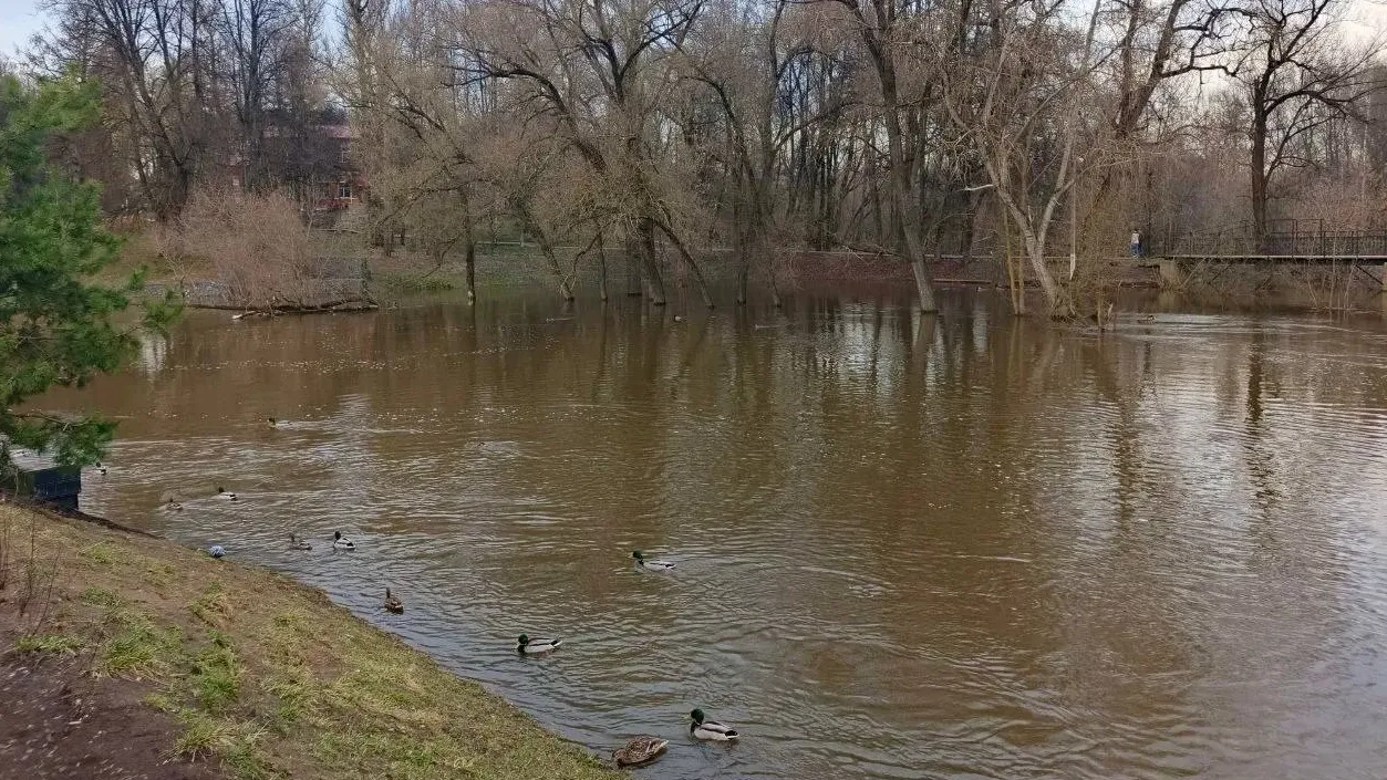пресс-служба администрации Наро-Фоминского г.о.