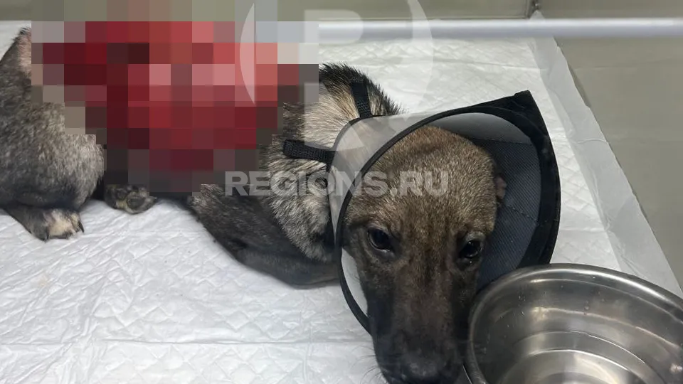 Фото: предоставлено Ольгой Ковальчук