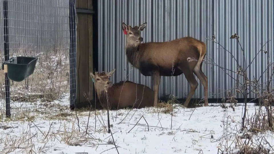 Фото: Министерство сельского хозяйства и продовольствия МО