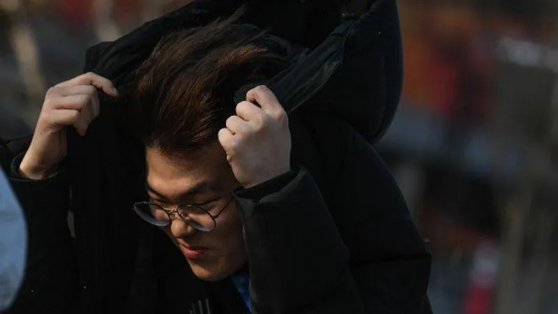 «Желтый» уровень погодной опасности объявили в Подмосковье из-за ветра