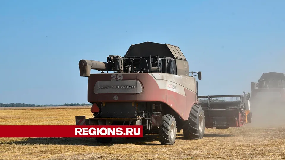 Фото: Владимир Останин