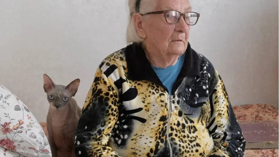 Фото: пресс-служба администрации г.о. Красногорск