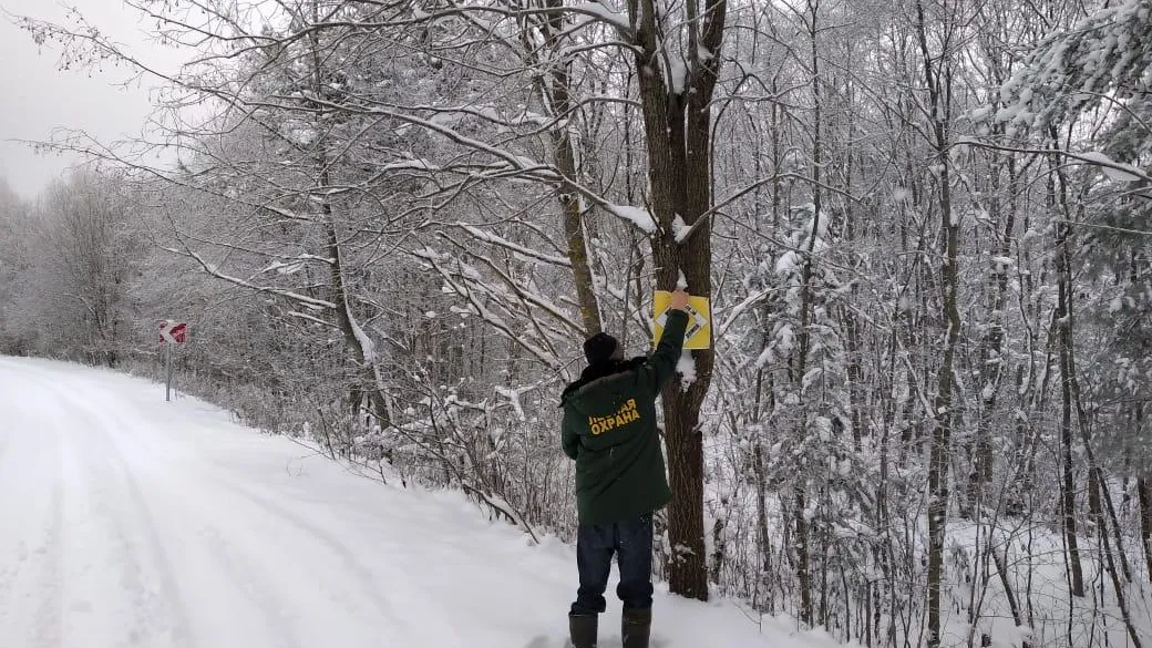 Комитет лесного хозяйства Московской области