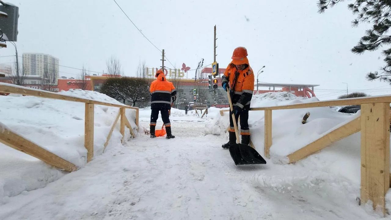 МедиаБанк Подмосковья/Валерия Исаева