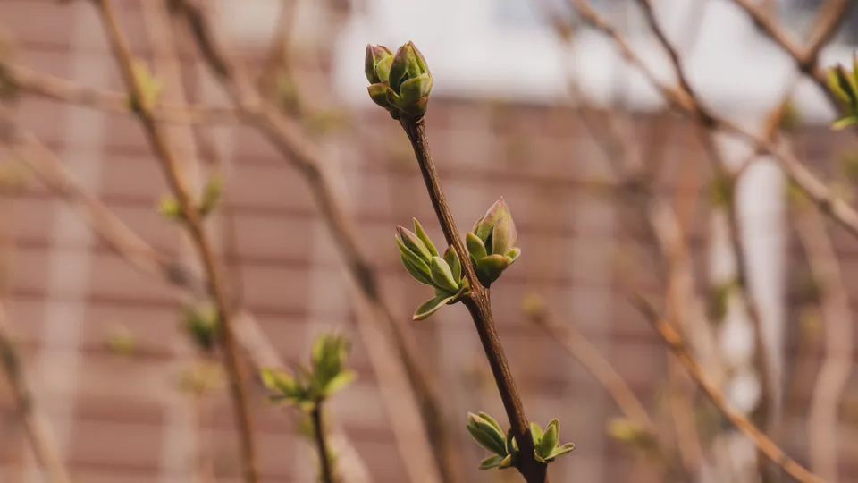 Фото: REGIONS/Наталия Надточая