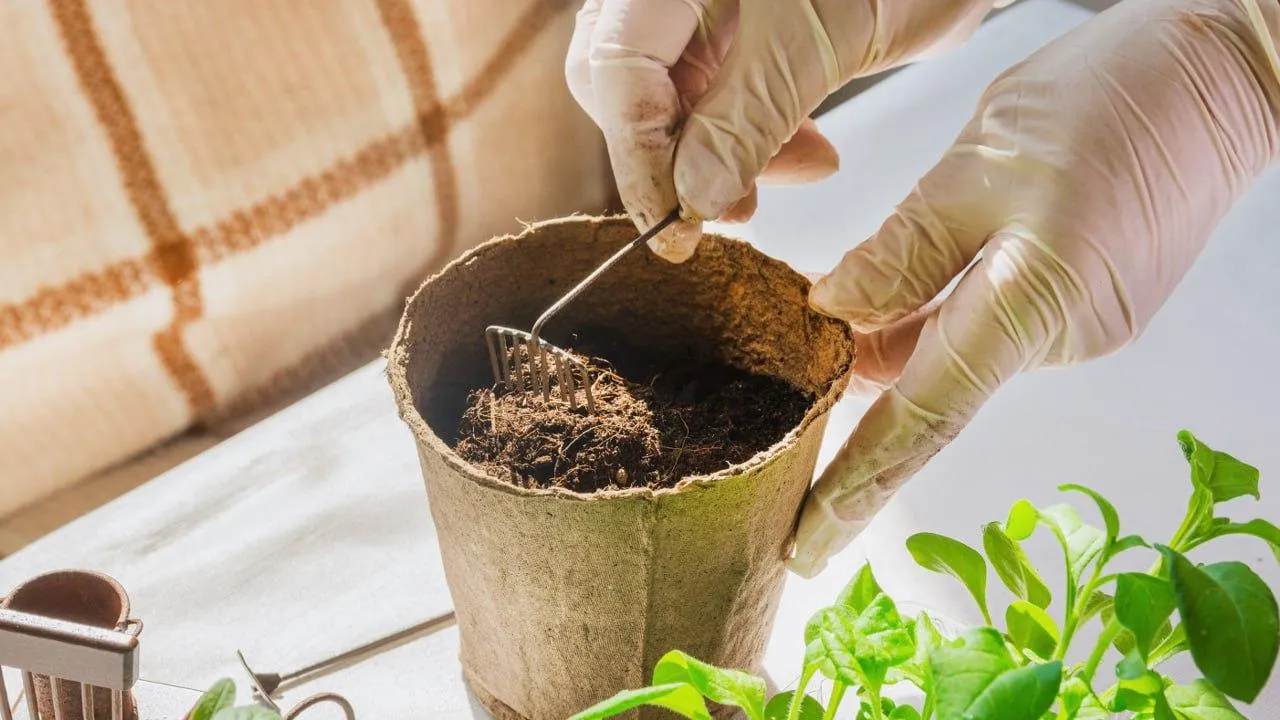 istockphoto.com/Svetlana Khoroshilova