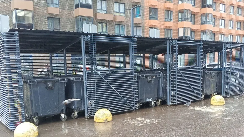 Фото: пресс-служба администрации г.о. Котельники