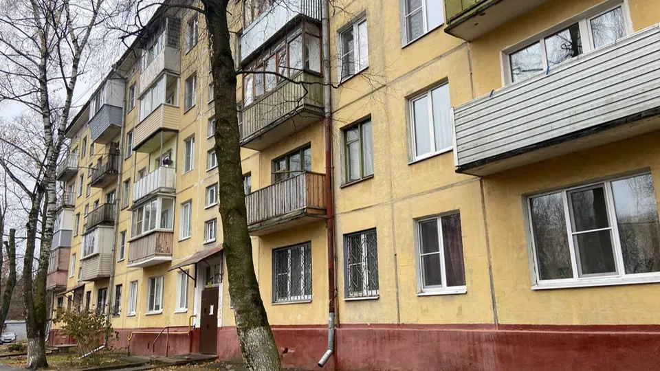 Фото: пресс-служба Администрации г. о. Фрязино