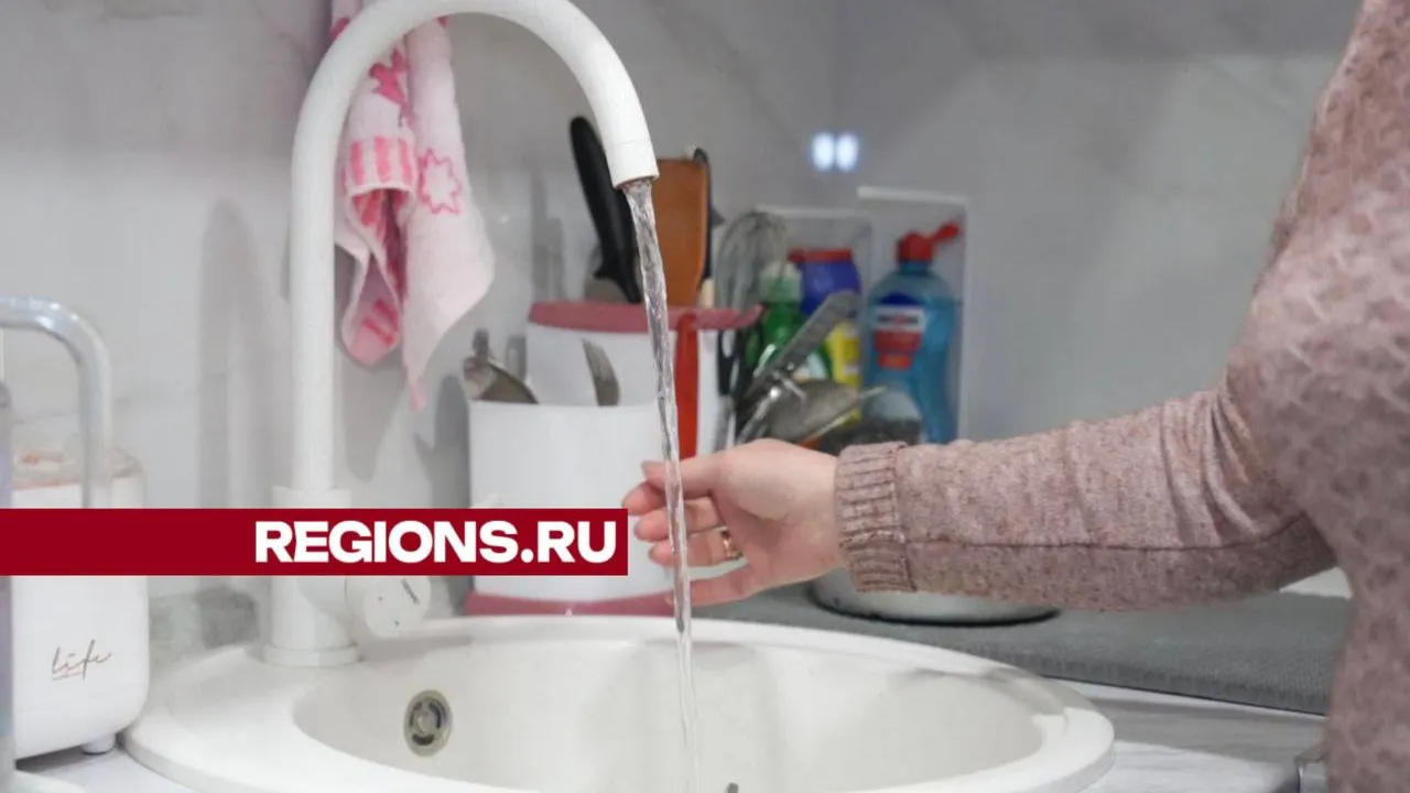 Фото: REGIONS/Дарья Леонова